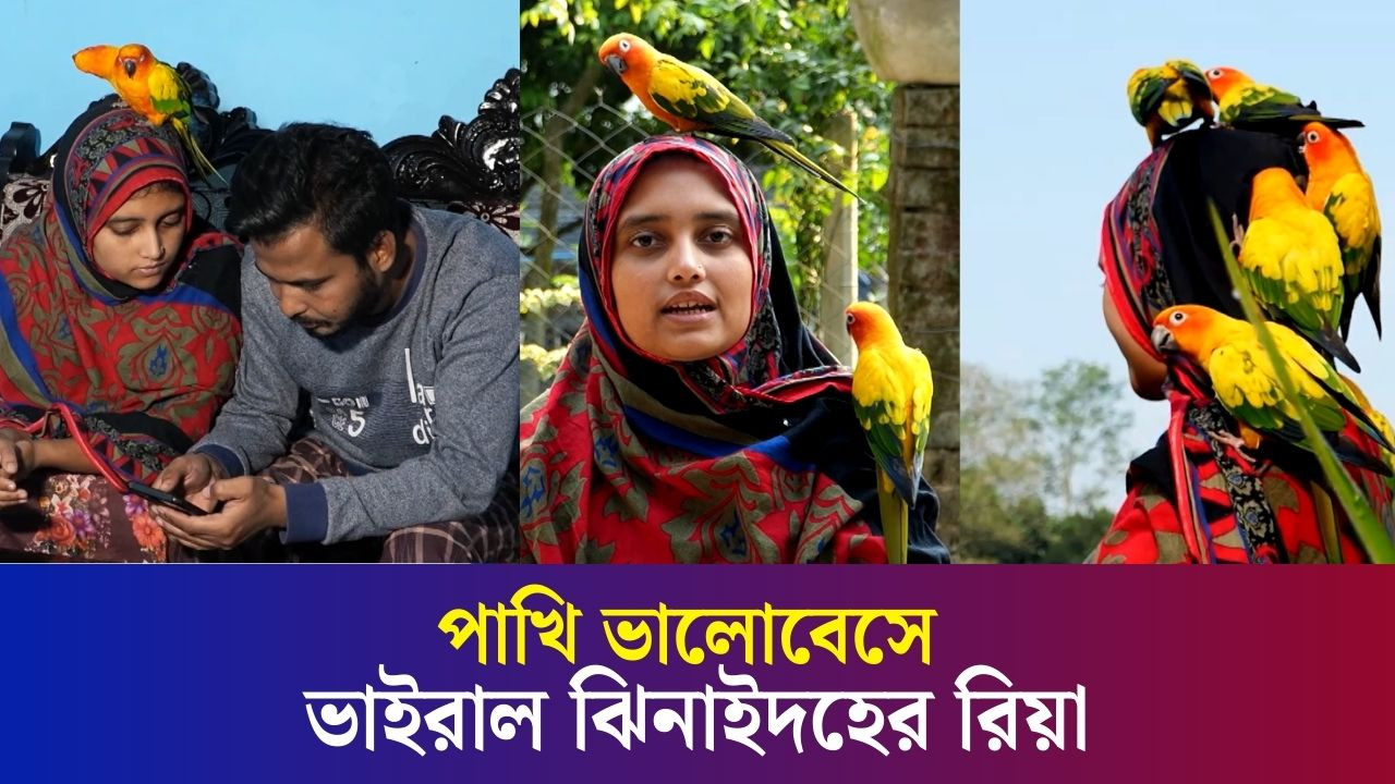 স্বামীর সহায়তায় পাখি নিয়ে কন্টেন্ট তৈরি করে ভাইরাল পাখিপ্রেমী রিয়া